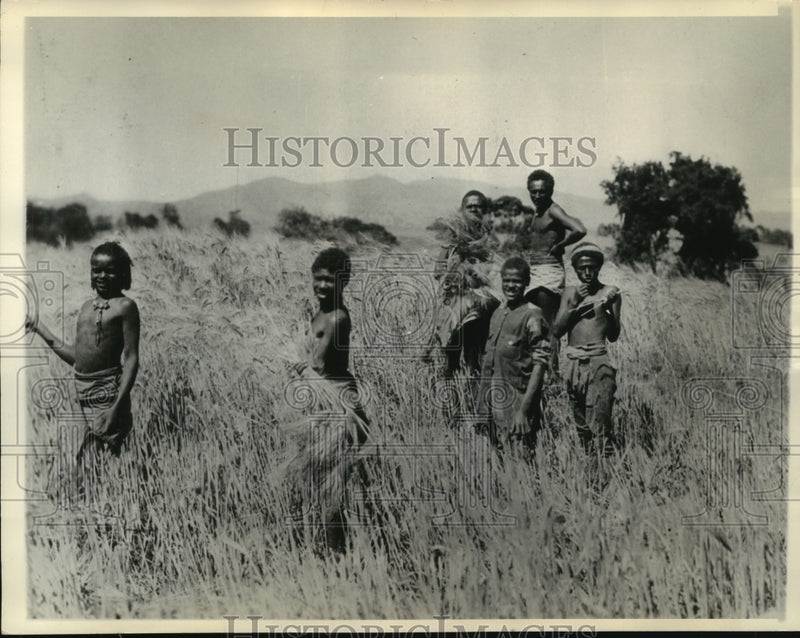 Load image into Gallery viewer, 1935 Press Photo Ethiopian children are shown in a field - mjx31759
