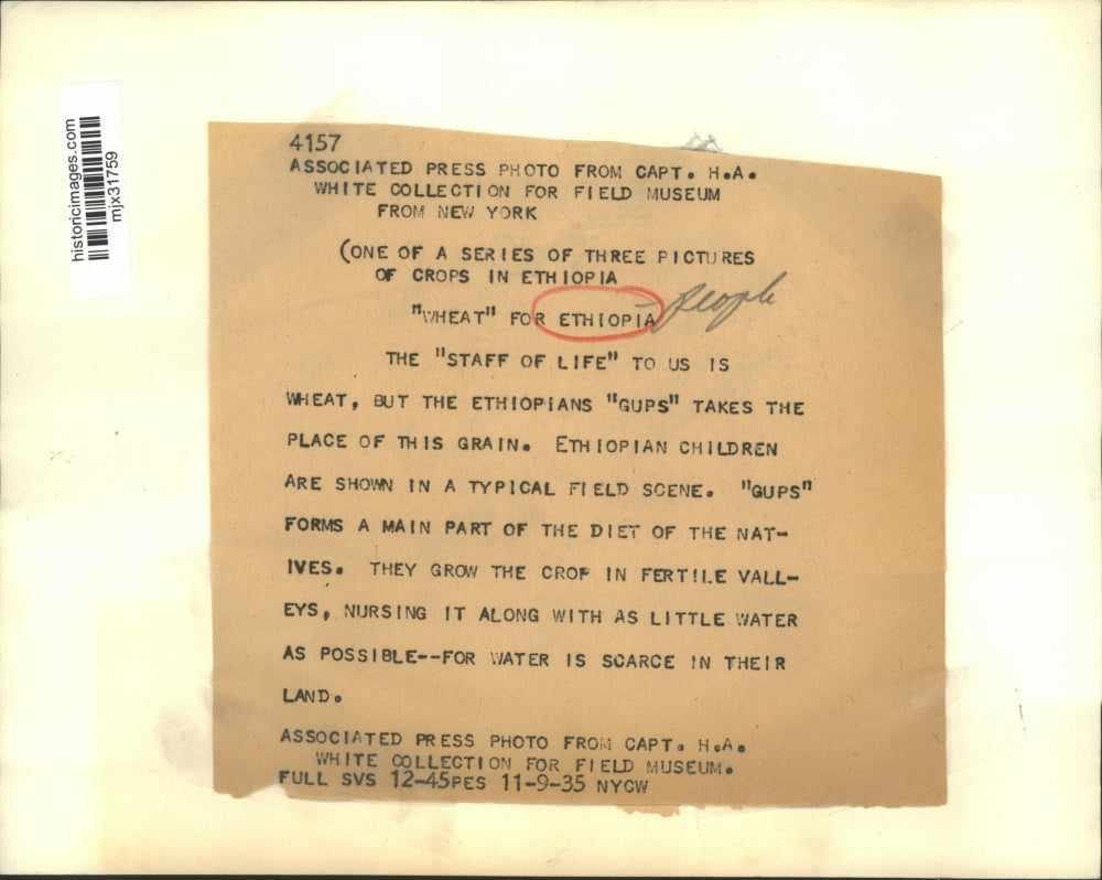 1935 Press Photo Ethiopian children are shown in a field - mjx31759