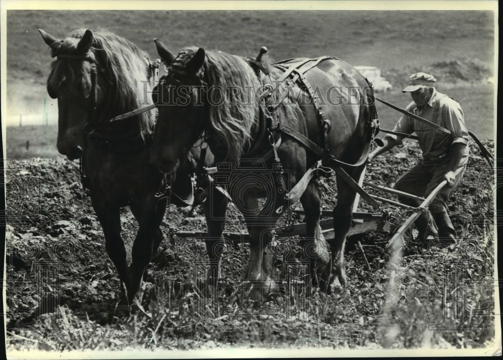 1983 Press Photo George Andrew plowing with horses in Eagle Bridge, New York- Historic Images