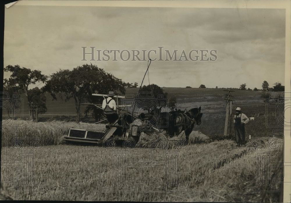 1930 Press Photo Adolph Hahn Of Rubicon Cuts Barley On A Farm In Dodge County- Historic Images