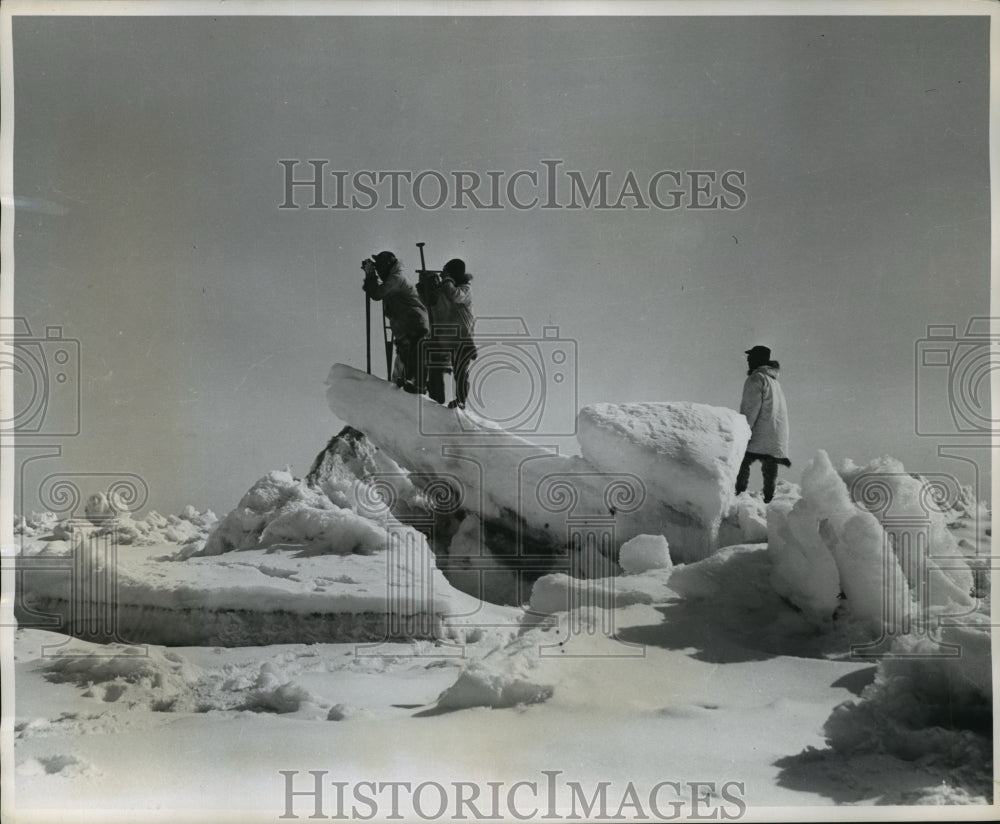 1955 Press Photo Sentries Looking For Floating Walrus Stand On Ice-Covered Ledge- Historic Images