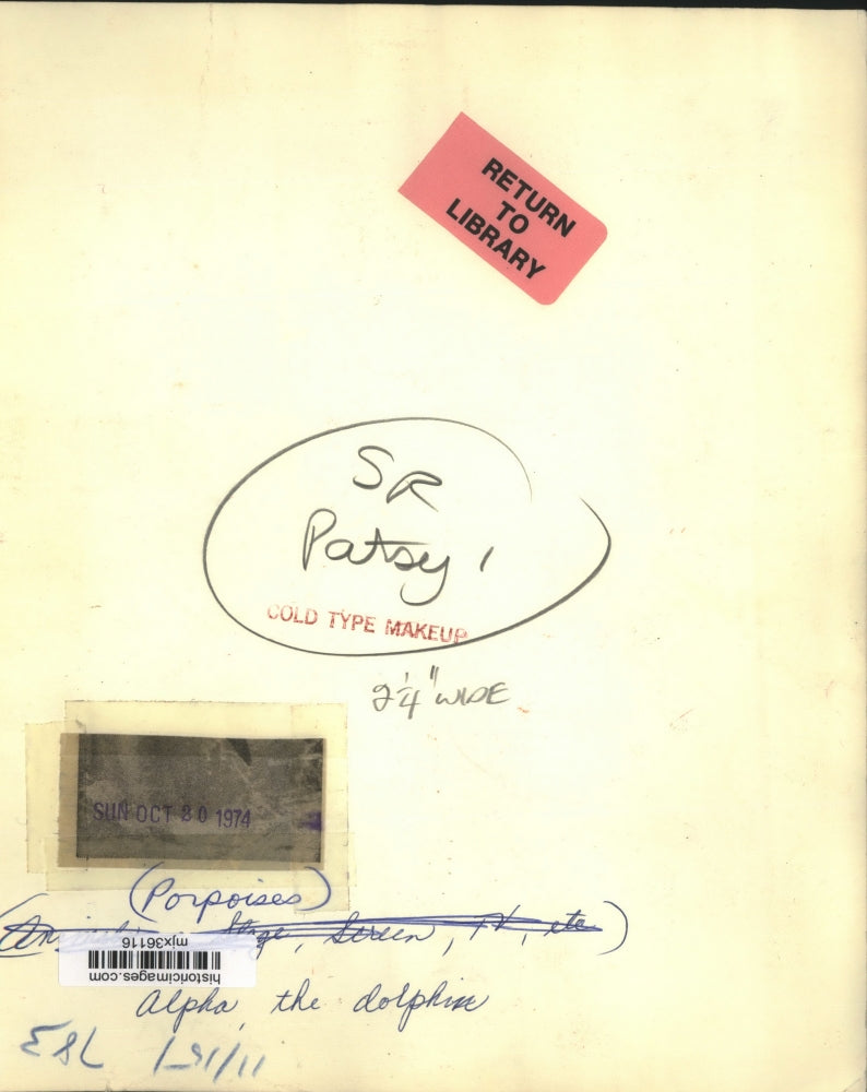 1973 Press Photo Alpha the dolphin, in "The Day of the Dolphin" movie