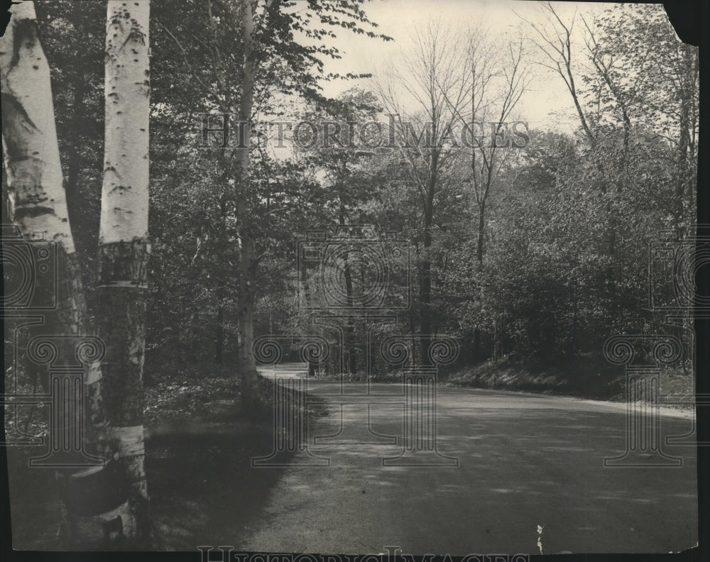 1931 Press Photo A Forested Trail in Grant Park, South Milwaukee, Wisconsin