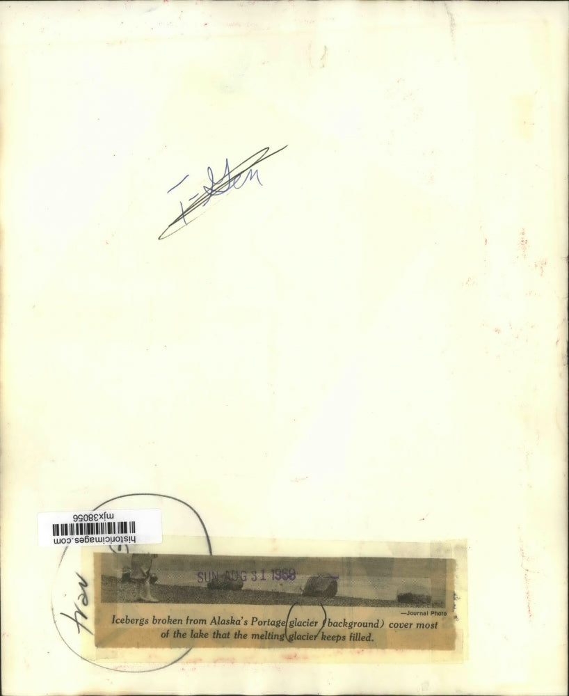 1968 Press Photo Visitor Looks at Icebergs on Lake from Portage Glacier, Alaska