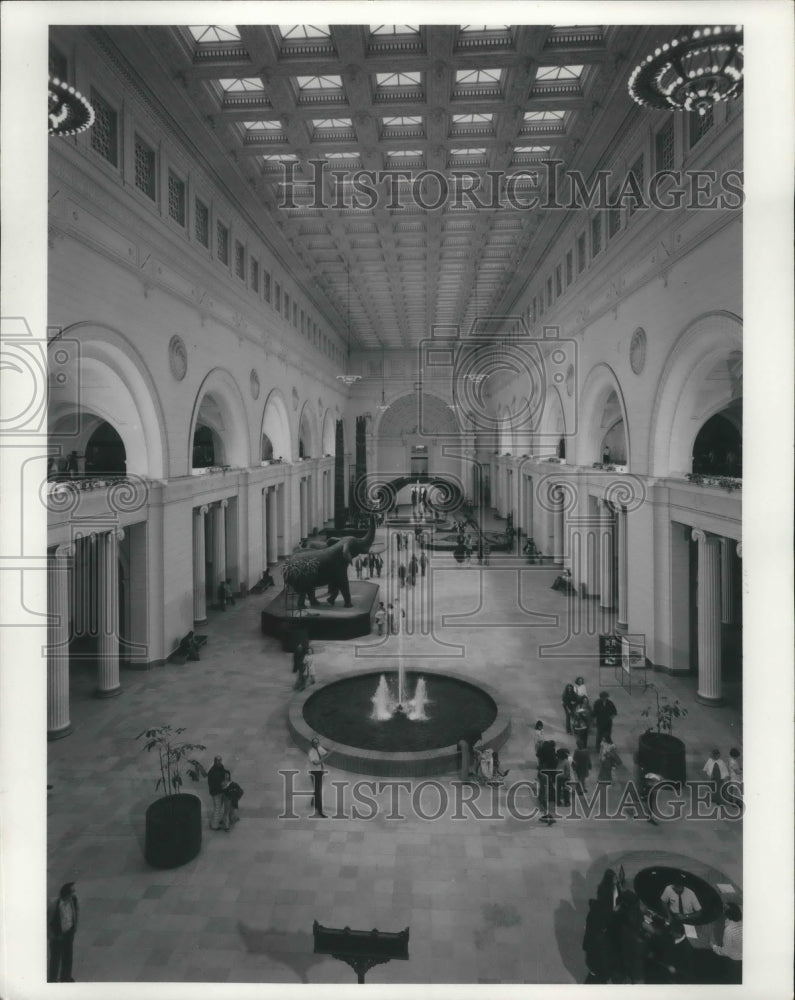 1986 Press Photo Stanley Field Hall, Field Museum of Natural History, Illinois