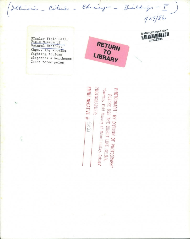 1986 Press Photo Stanley Field Hall, Field Museum of Natural History, Illinois