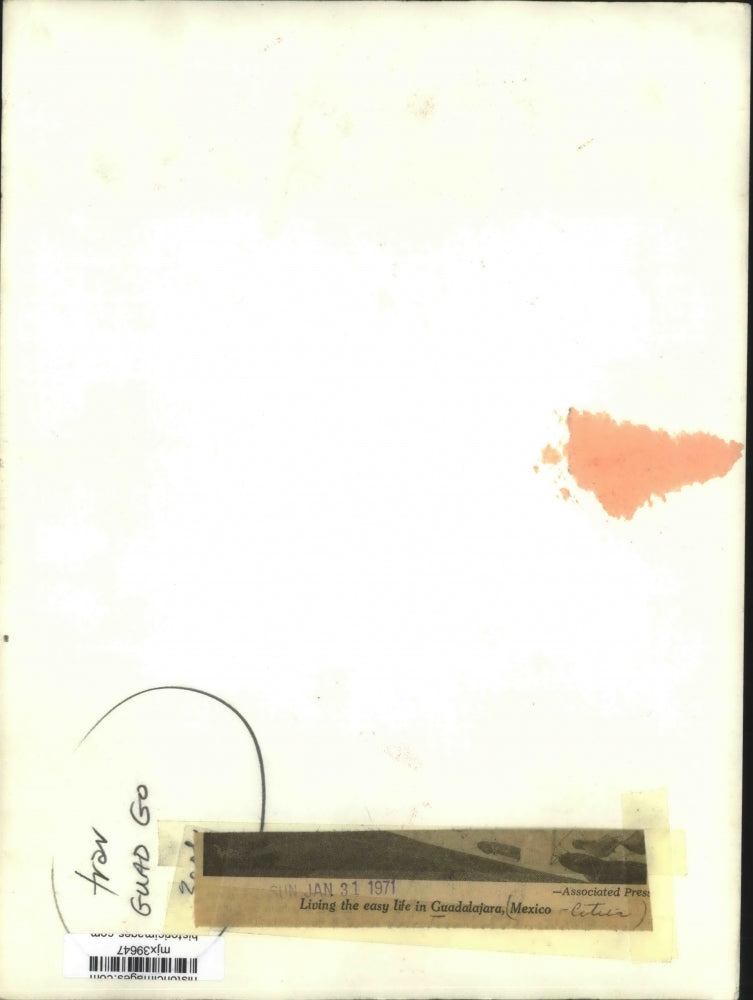 1971 Press Photo Woman lounging by a pool in Guadalajara, Mexico.