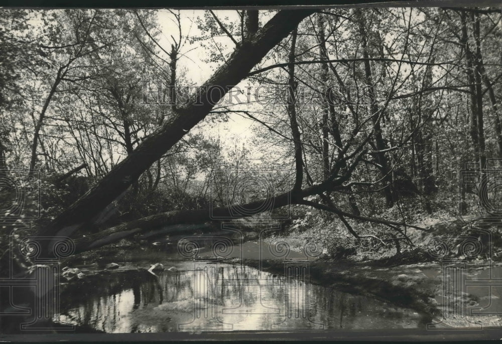 1928 Press Photo Section of Milwaukee County Parkway at Oak Creek - mjx40776- Historic Images