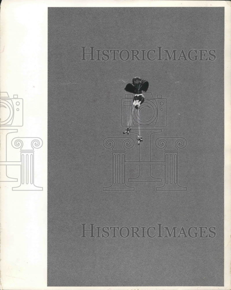 1966 Press Photo Parachutists Lathan Ruetzel and Helmut Wittrircht tangle up.