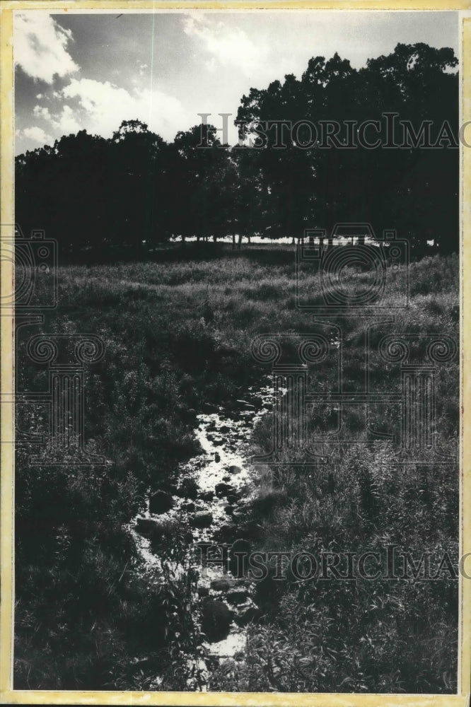 1957 Press Photo Pebble Creek follow the contour of the valley in Wisconsin.- Historic Images