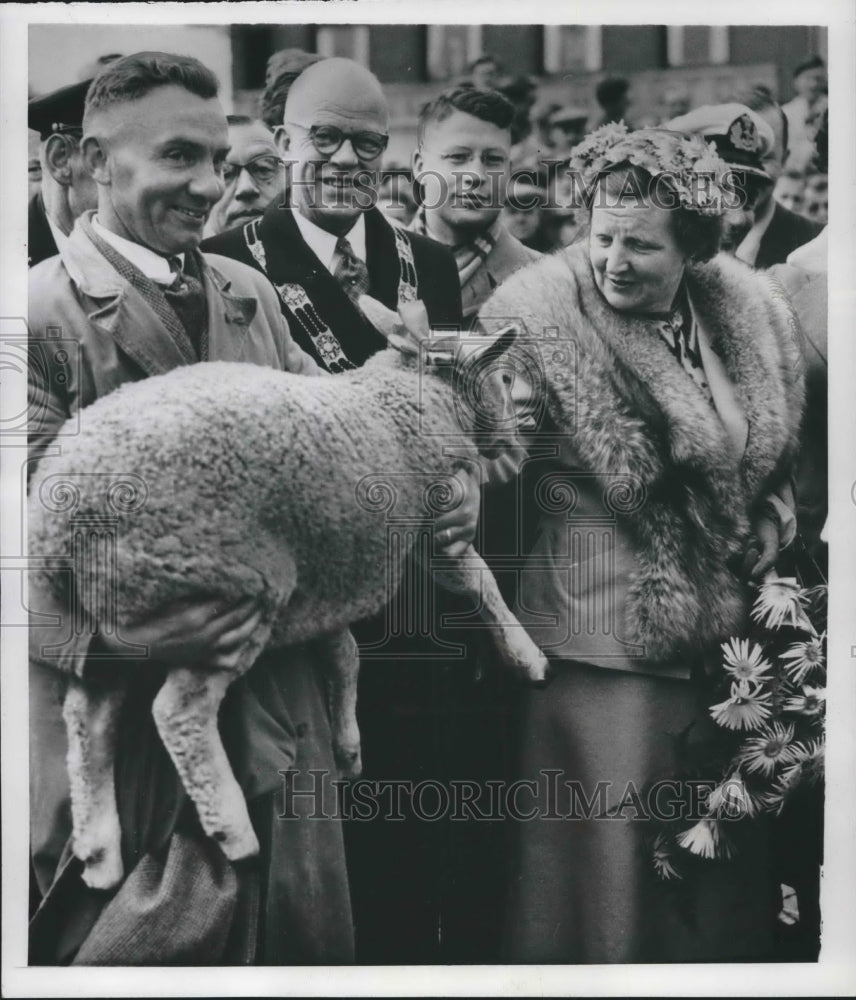 1954 Press Photo Queen Juliana of Holland eyes a sheep at a Holland market- Historic Images