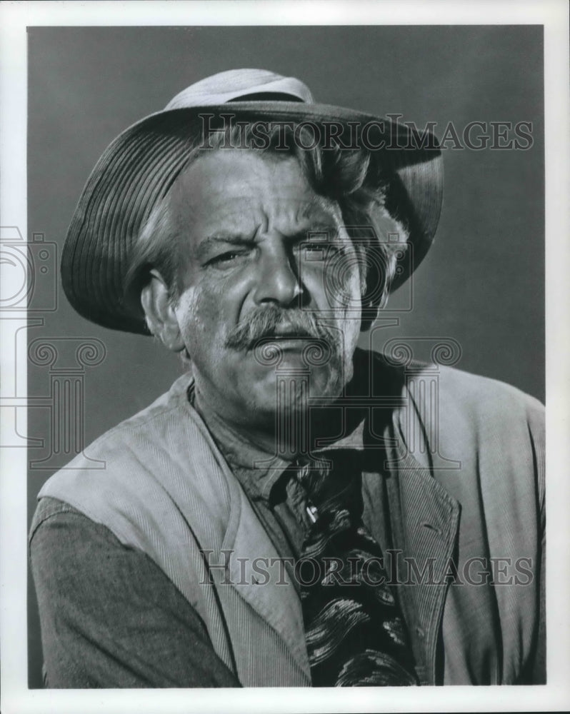 1966 Press Photo Denver Pyle as Grandpa in ABC series "Tammy." - mjx42479