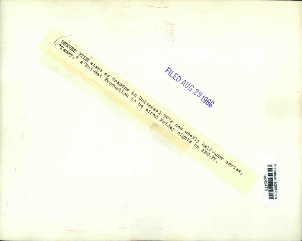 1966 Press Photo Denver Pyle as Grandpa in ABC series "Tammy." - mjx42479