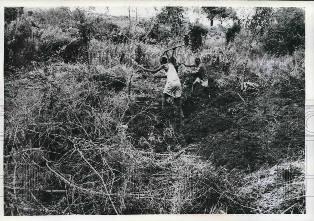 1967 Press Photo Rwandese refugees in Tanzania cultivate land with tools- Historic Images