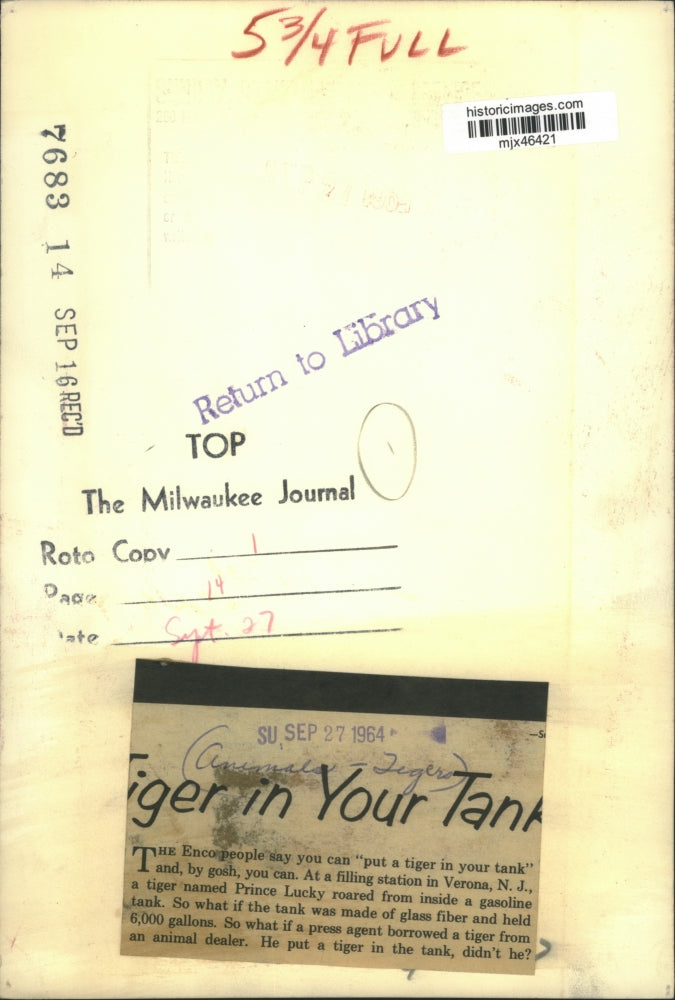 1964 Press Photo Tiger roars from inside a gasoline tank in Verona, New Jersey