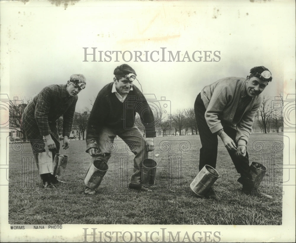 1967 Press Photo Men gathering angleworms in Ireland for American fishermen.
