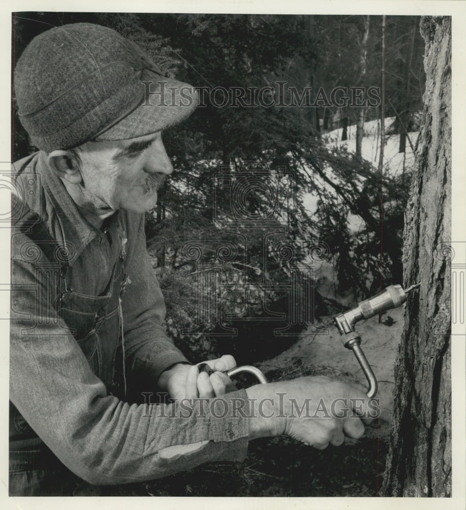 1940 Press Photo Joseph Thibaudeau Taps Maple Tree for Syrup - mjx48420- Historic Images