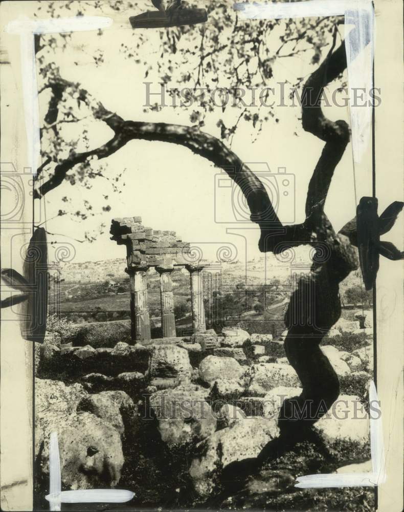 1925 Press Photo Ruins of Temple of Castor and Pollux beneath almond tree, Italy- Historic Images