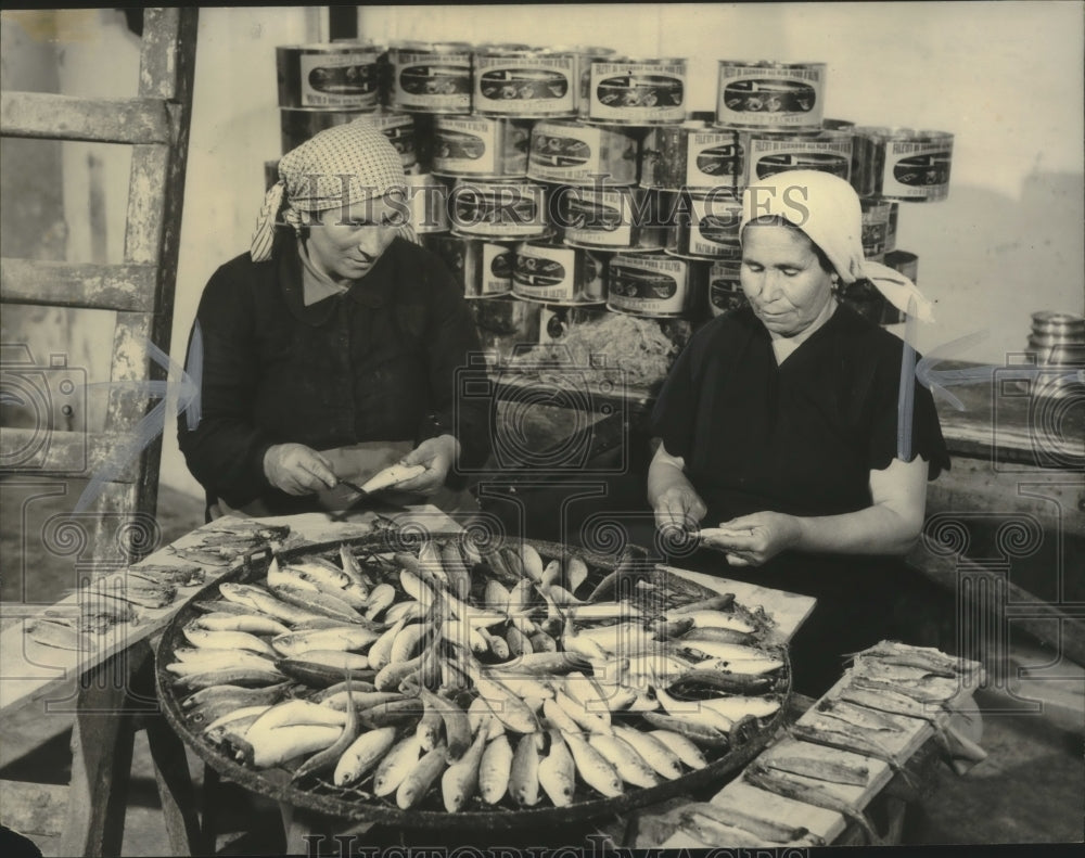 Press Photo Wives of Lampedusa fishermen cleaning mackerel. - mjx52708- Historic Images