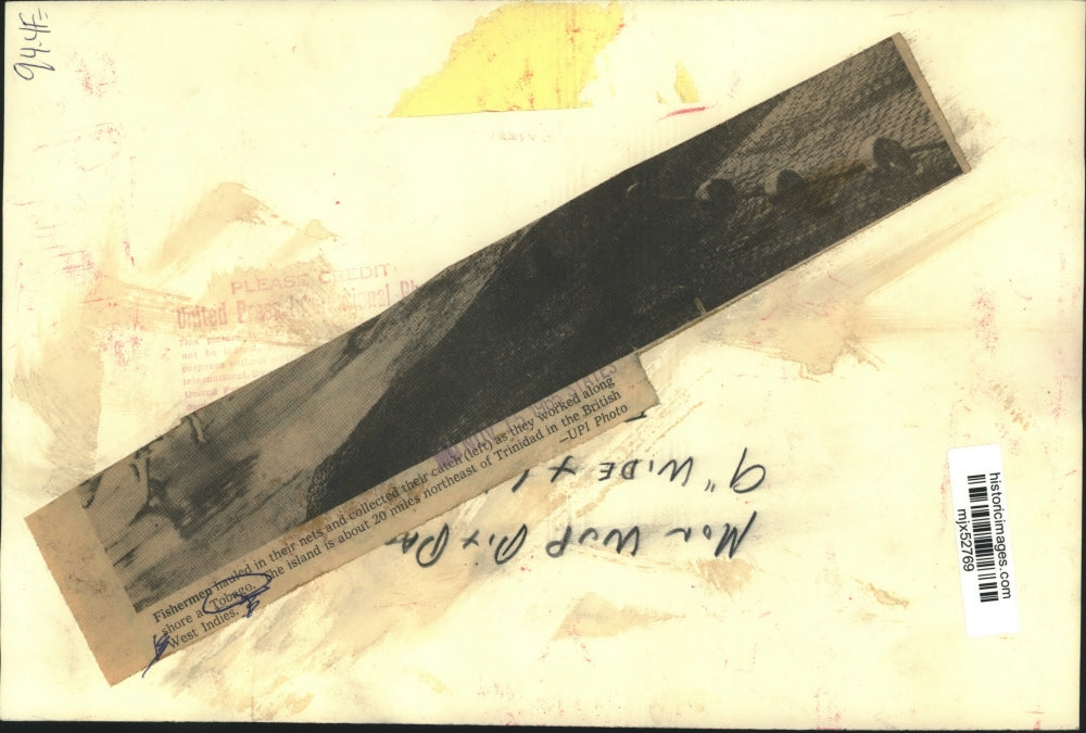 1965 Press Photo Fisherman haul in their catch on the Island of Tobago.