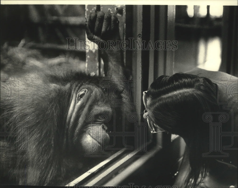 1992 Press Photo Margit Holfinger with Jenny the orangutan at Racine Zoo.- Historic Images