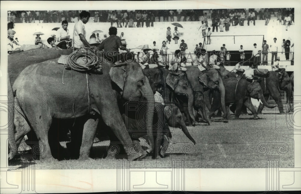 1976 Press Photo Thailand-The baby elephant among those paraded at the jamboree- Historic Images