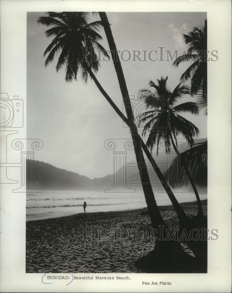 1984 Press Photo The surf rolls in at beautiful Maracas Beach in Trinidad- Historic Images