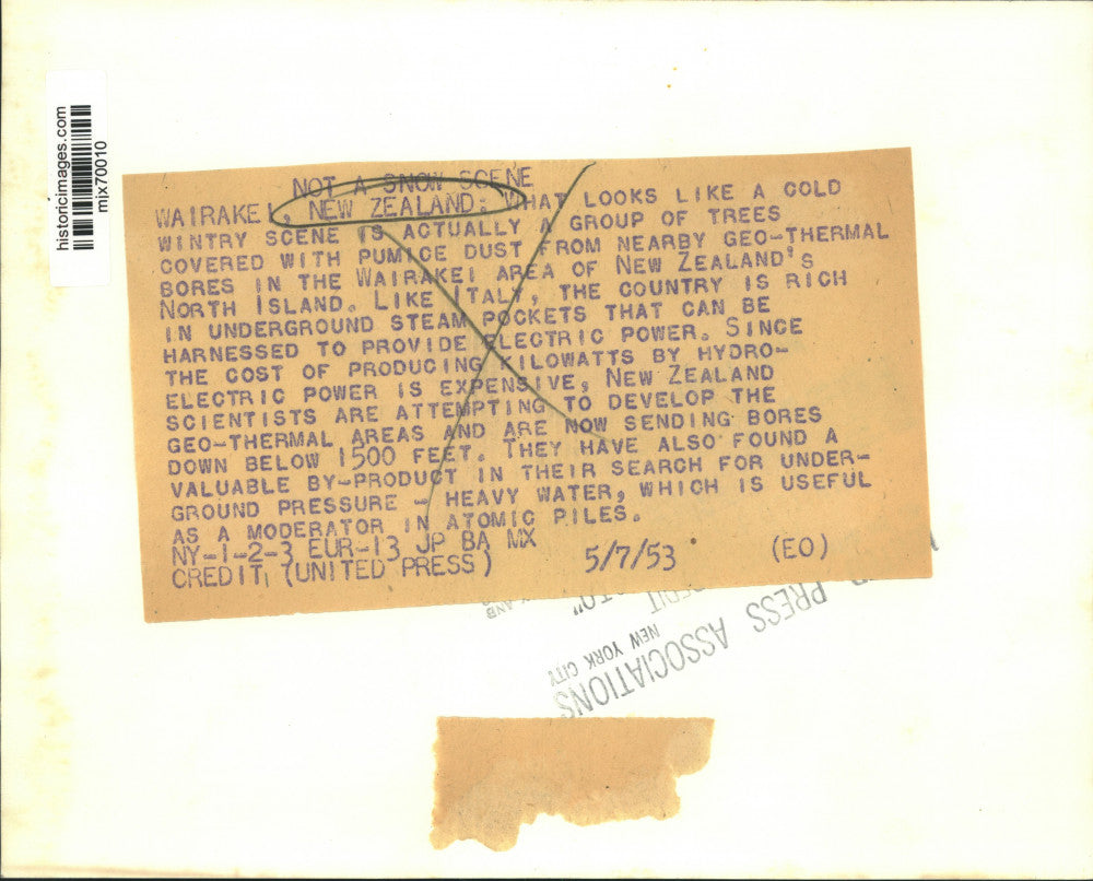 1953 Press Photo Trees covered in dust in Wairakei on New Zealand's North Island