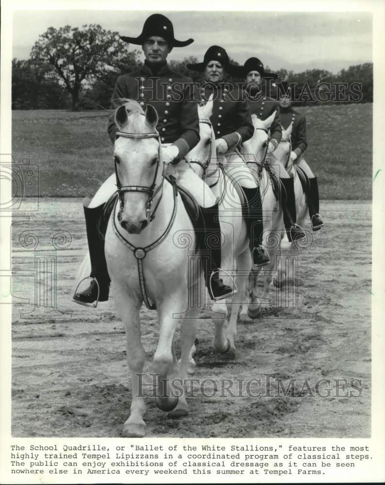 1983 Press Photo A Quartet of Uniformed Riders Perform a Lipizzan Routine- Historic Images