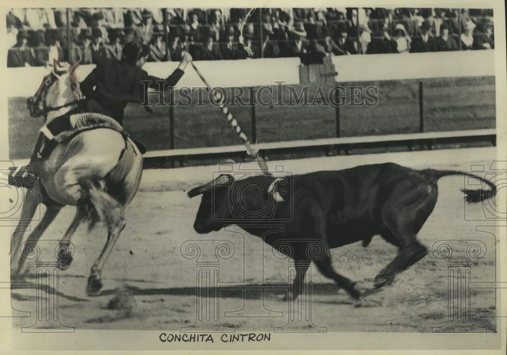 1948 Press Photo Conceit Cintron Bull Fighting on Horseback in Portugal- Historic Images