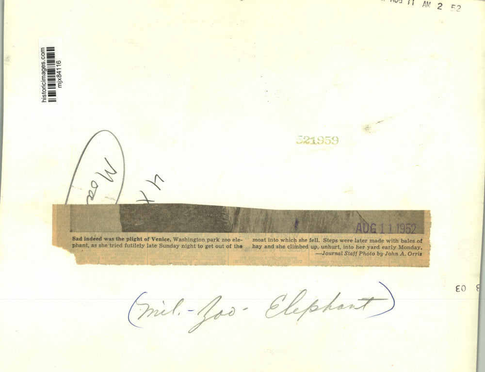 1952 Press Photo Venice, Washington Park Zoo, fell into the moat, Milwaukee