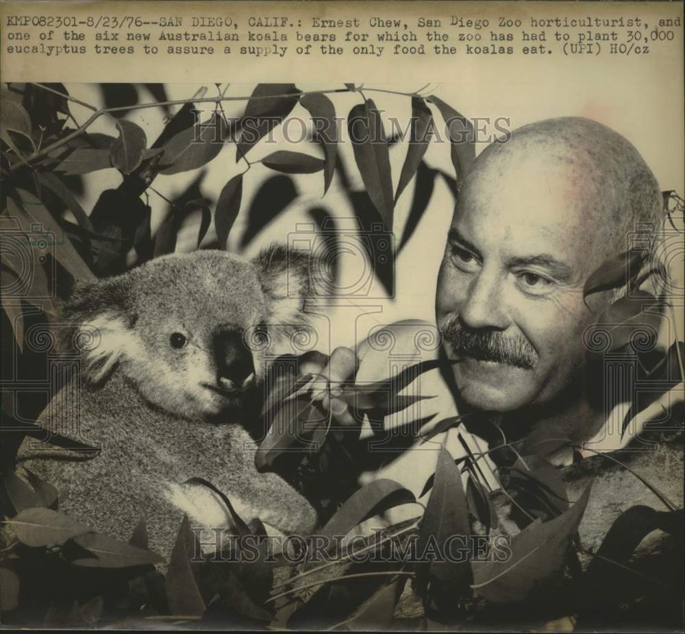 1976 Press Photo San Diego Zoo horticulturist Ernest Chew and a new koala bear.