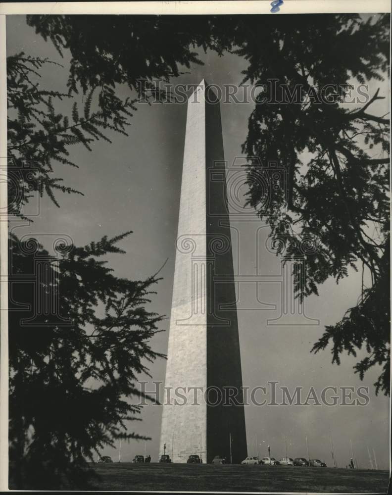 1953 Press Photo Fir trees frame the Washington Monument in Washington, D.C.