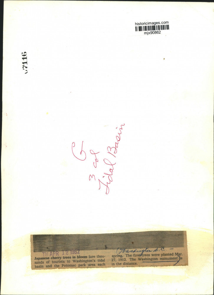 1962 Press Photo Cherry trees along Tidal Basin near Washington Monument.