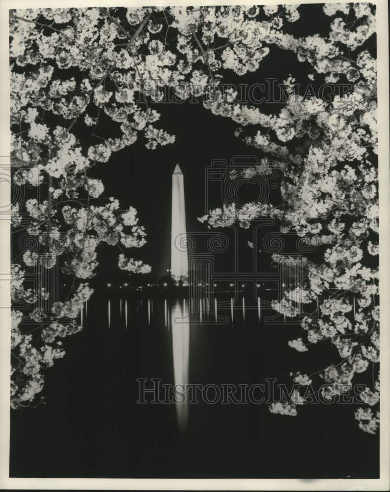 Load image into Gallery viewer, 1960 Press Photo Cherry Blossoms frame the Washington Monument. - mjx90864
