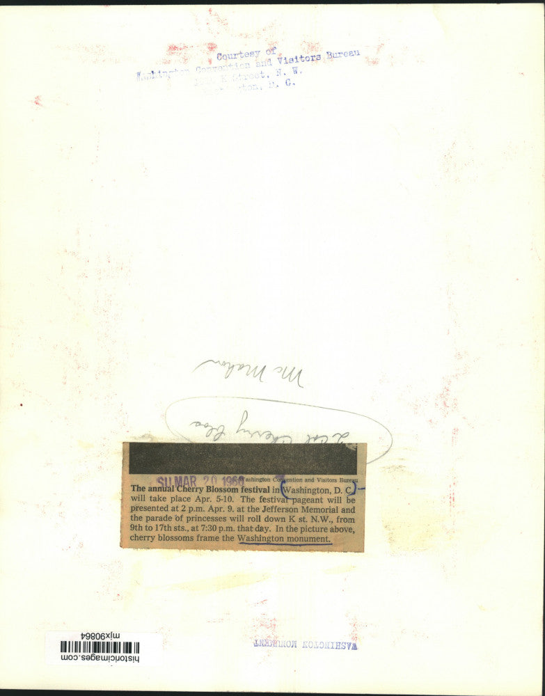 1960 Press Photo Cherry Blossoms frame the Washington Monument. - mjx90864