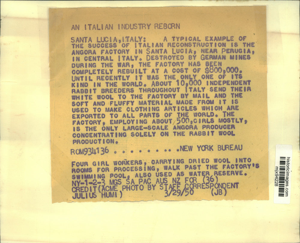 1950 Press Photo Dried Wool Being Carried At Angora Factory At Santa Lucia Italy