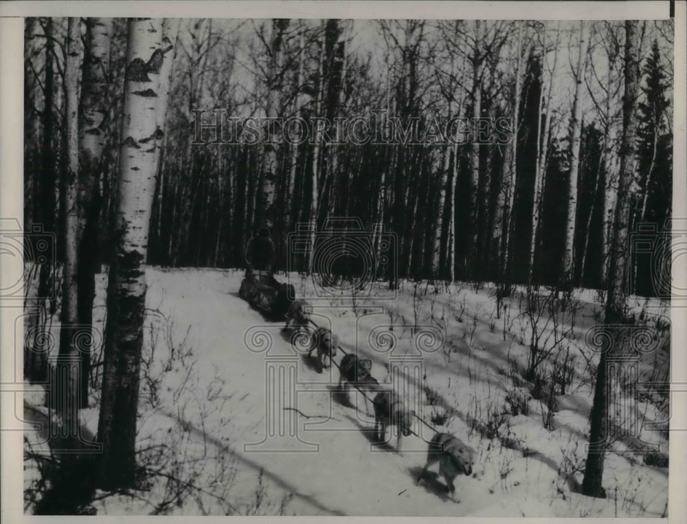 1938 Press Photo Winter dog sled derby participant