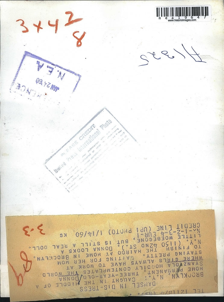 1960 Press Photo Donna Stanziola Gets Permanent Wave Hairstyle, Brooklyn