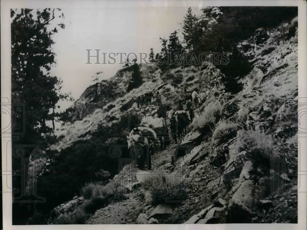 1936 Press Photo Rescue of newborn baby in High Sierras in California
