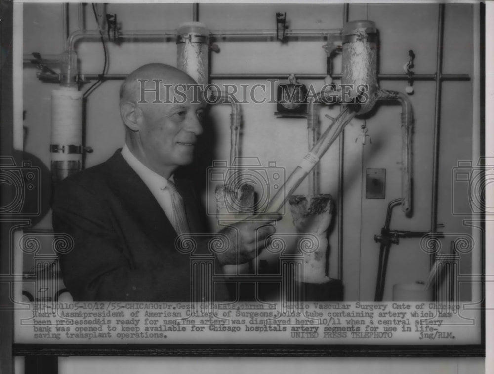 1955 Press Photo Dr Geza deBahats demoonstrates new artery tube - nea20118