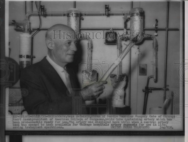 Load image into Gallery viewer, 1955 Press Photo Dr Geza deBahats demoonstrates new artery tube - nea20118
