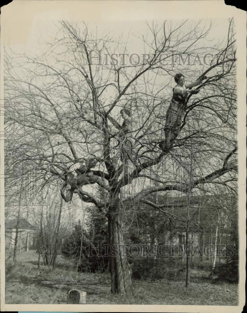 1927 Press Photo Students learn pruning at Ambler Horticulture School for Women- Historic Images