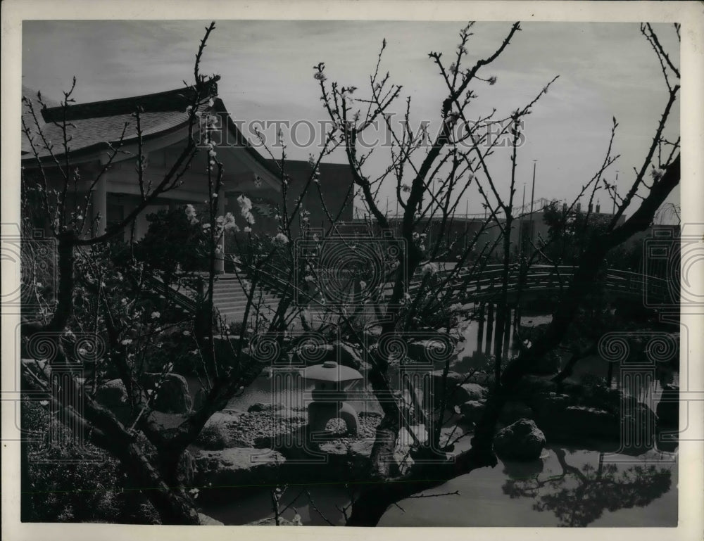 1940 Press Photo Japanese cherry trees at Worlds Fair- Historic Images