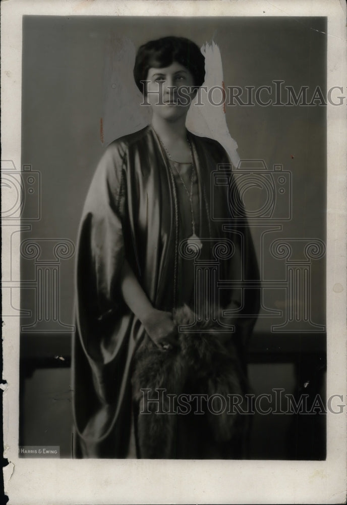 1929 Press Photo Mrs. WD Mitchell - nea32167