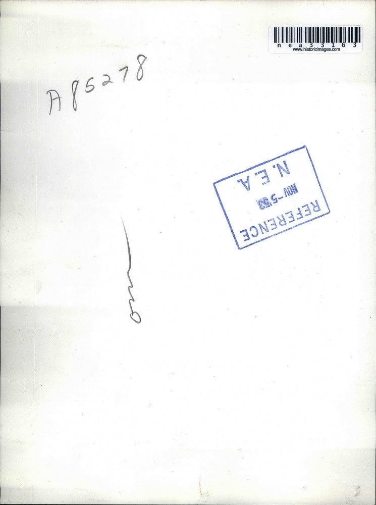 1956 Press Photo Louise Staszewski Mother of 8 Children Attempted to Kill Husban