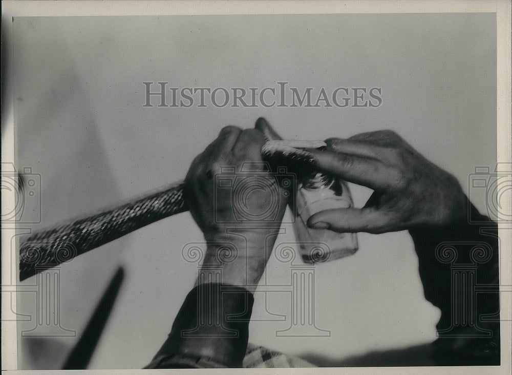 1937 Press Photo Jack Allman Demonstrates Transforming Snake with Olive Oil