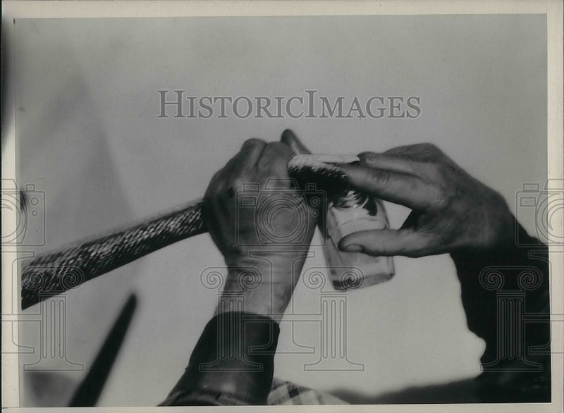 Load image into Gallery viewer, 1937 Press Photo Jack Allman Demonstrates Transforming Snake with Olive Oil
