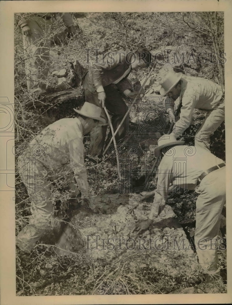 1945 Press Photo Unknown Snake Hunters - nea37016