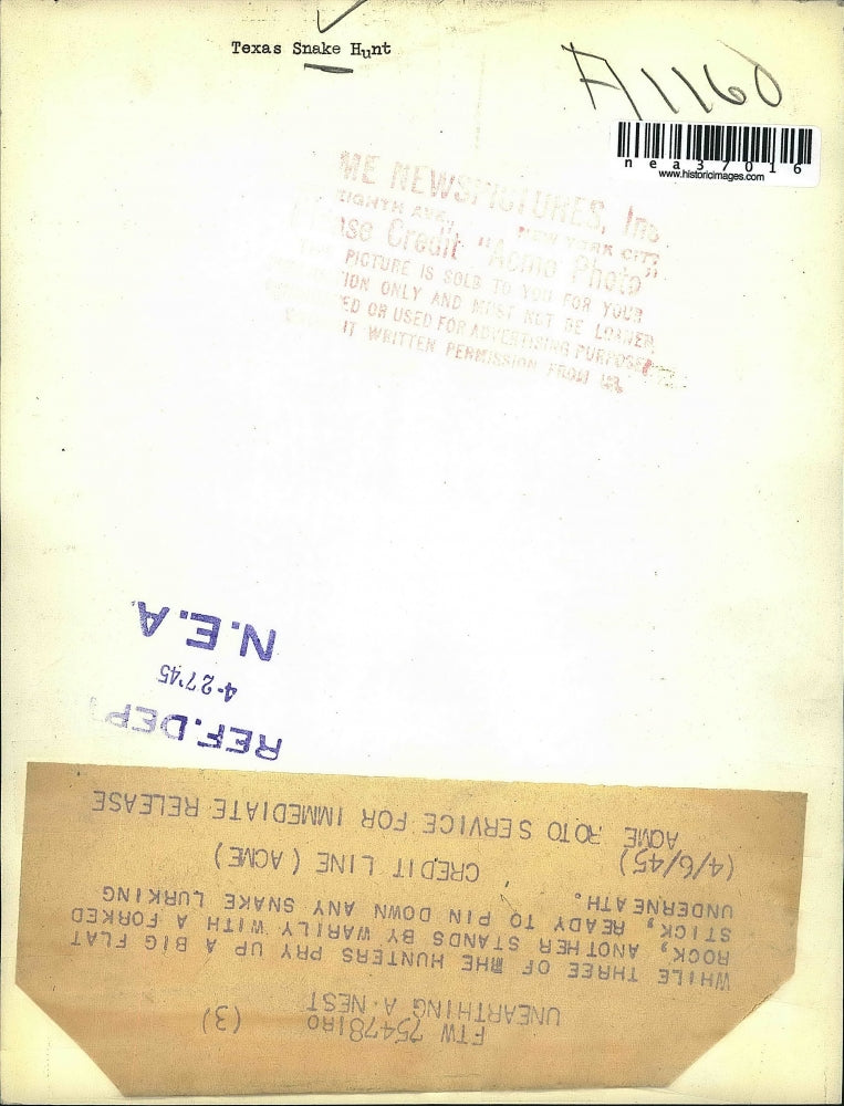 1945 Press Photo Unknown Snake Hunters - nea37016